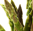 asparagus